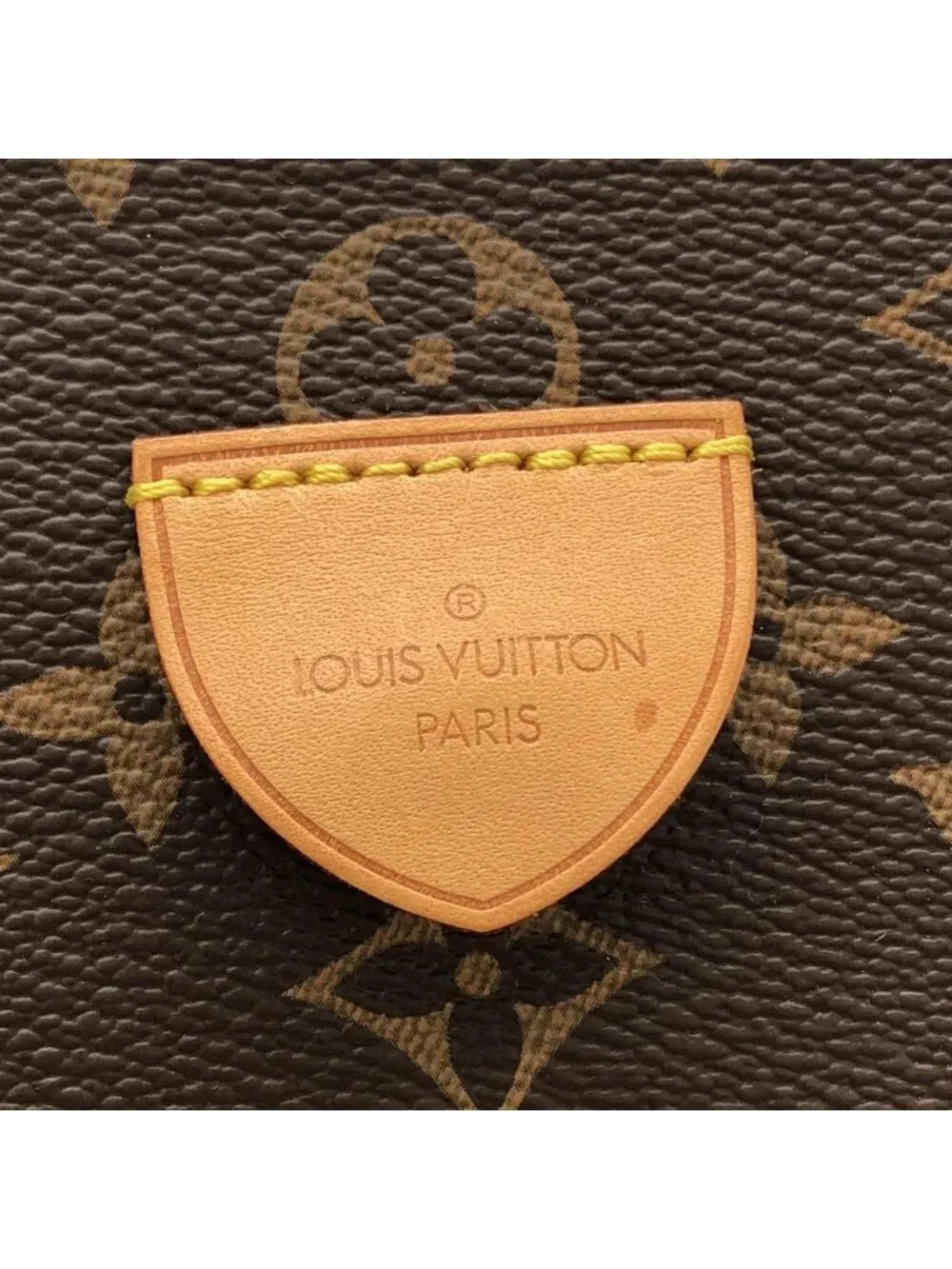 Louis Vuitton Monogram Rivoli MM